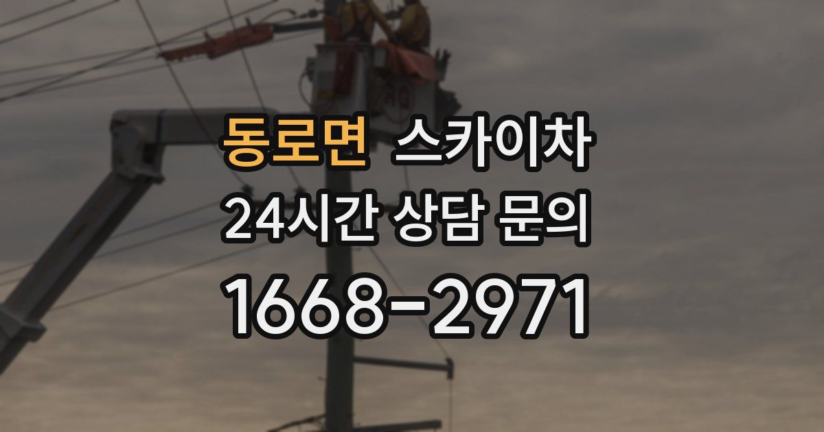 동로면 스카이차