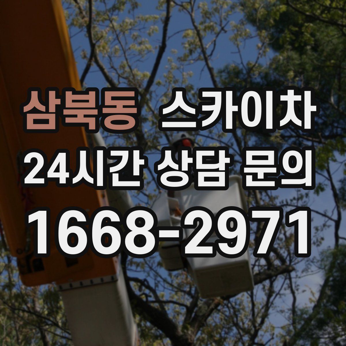 삼북동 스카이차