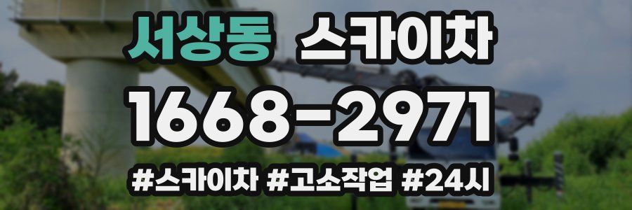 서상동 스카이차