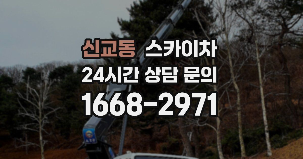 신교동 스카이차