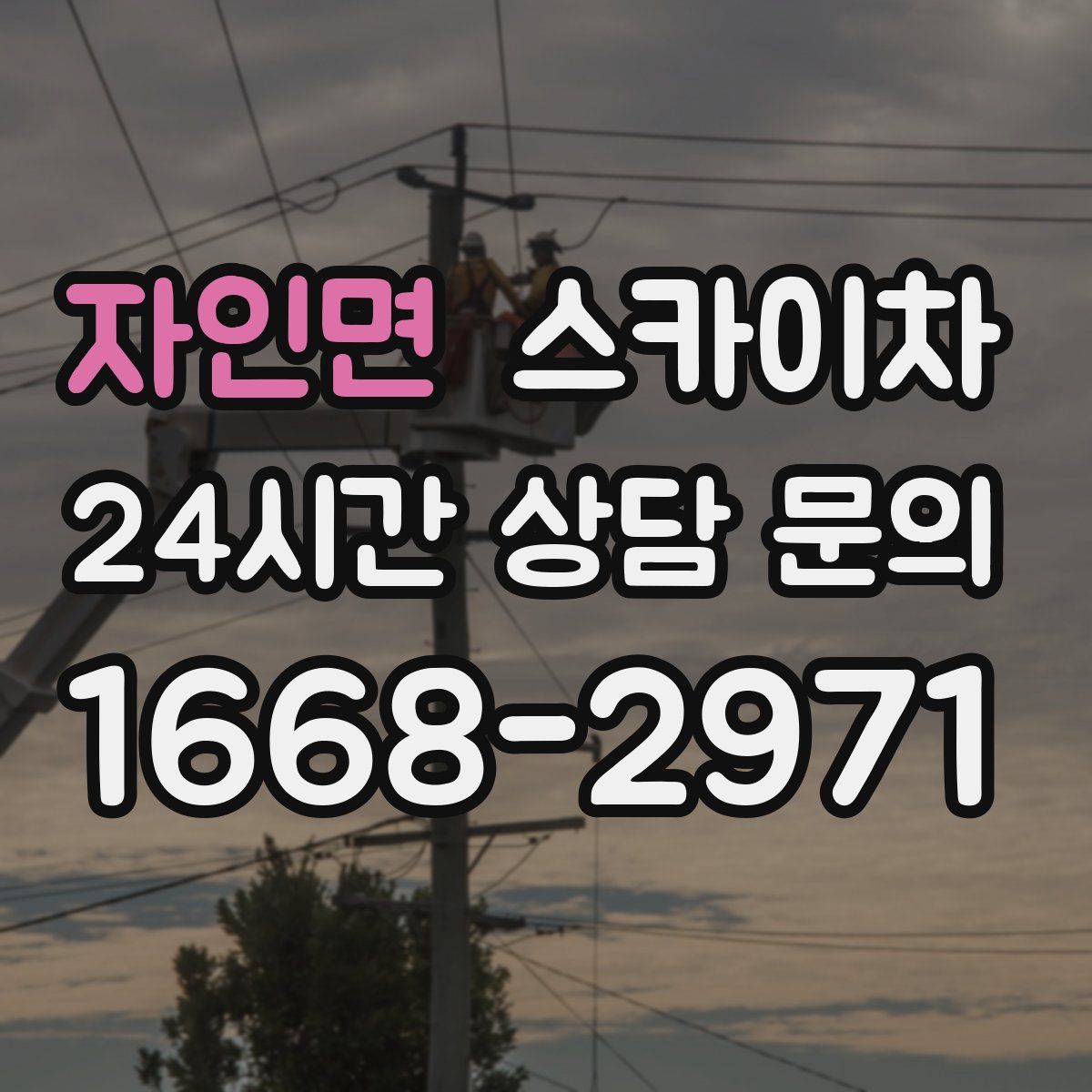 자인면 스카이차