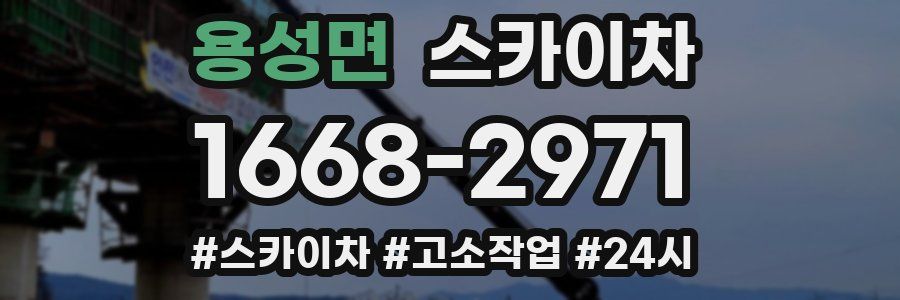 용성면 스카이차