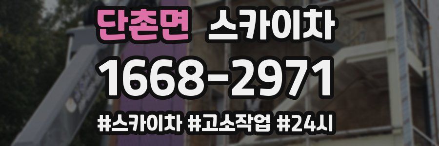 단촌면 스카이차