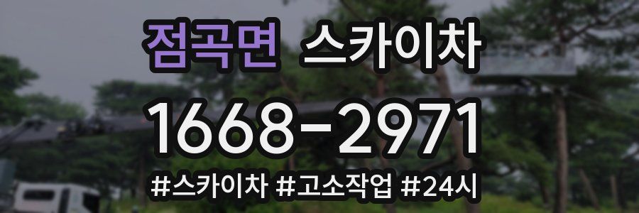 점곡면 스카이차