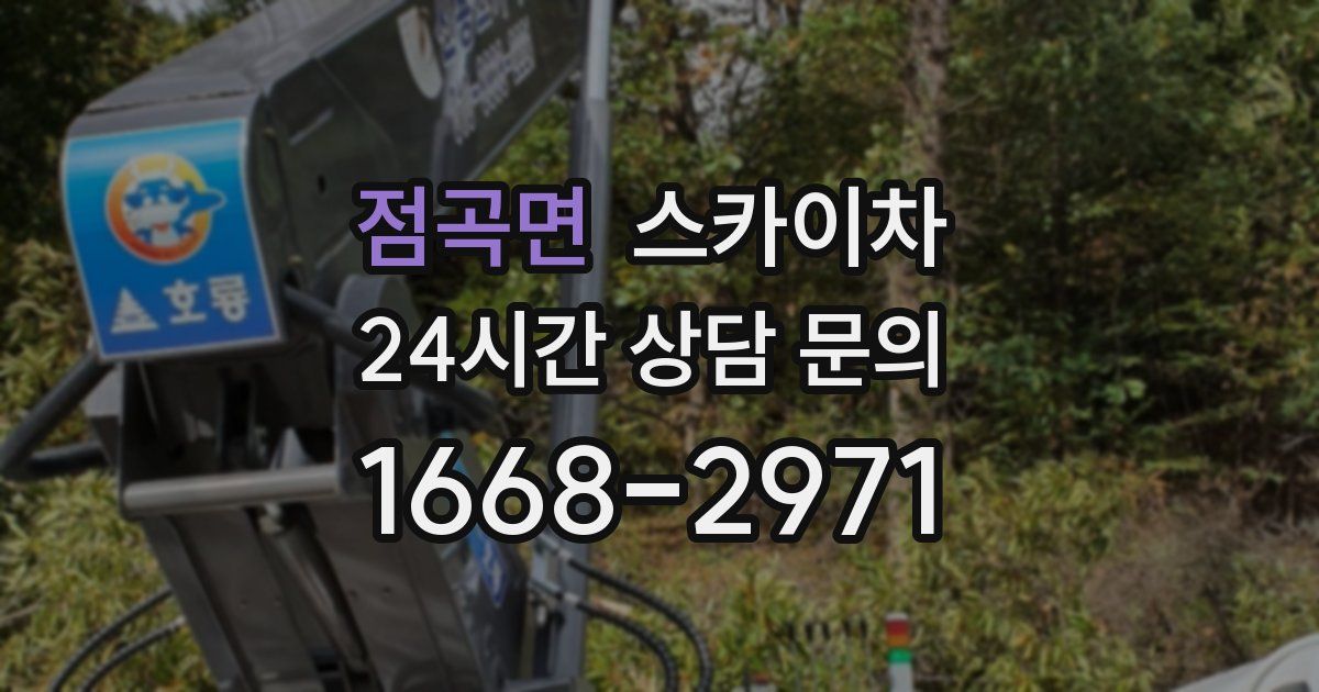 점곡면 스카이차