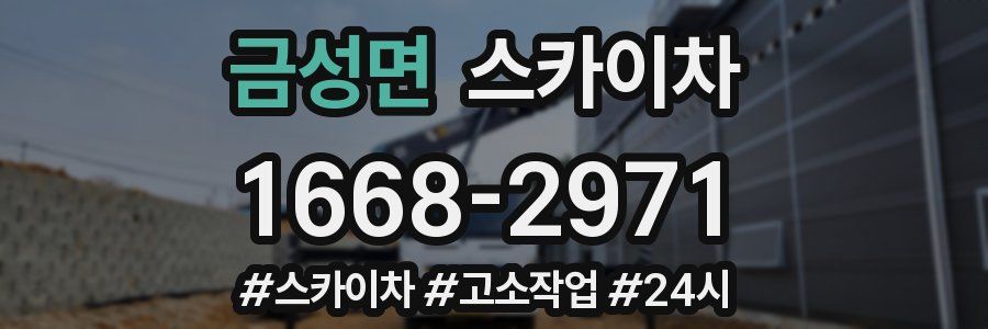 금성면 스카이차