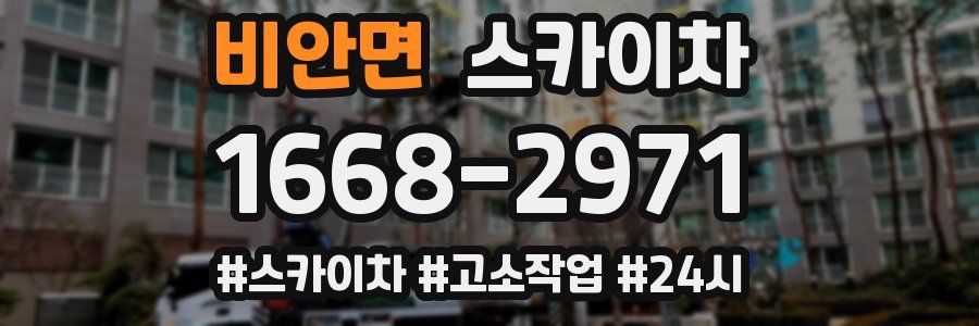 비안면 스카이차