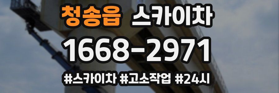 청송읍 스카이차