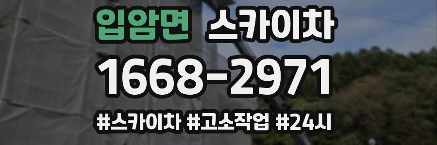 입암면 스카이차