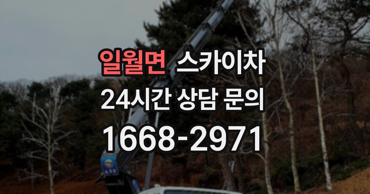 일월면 스카이차