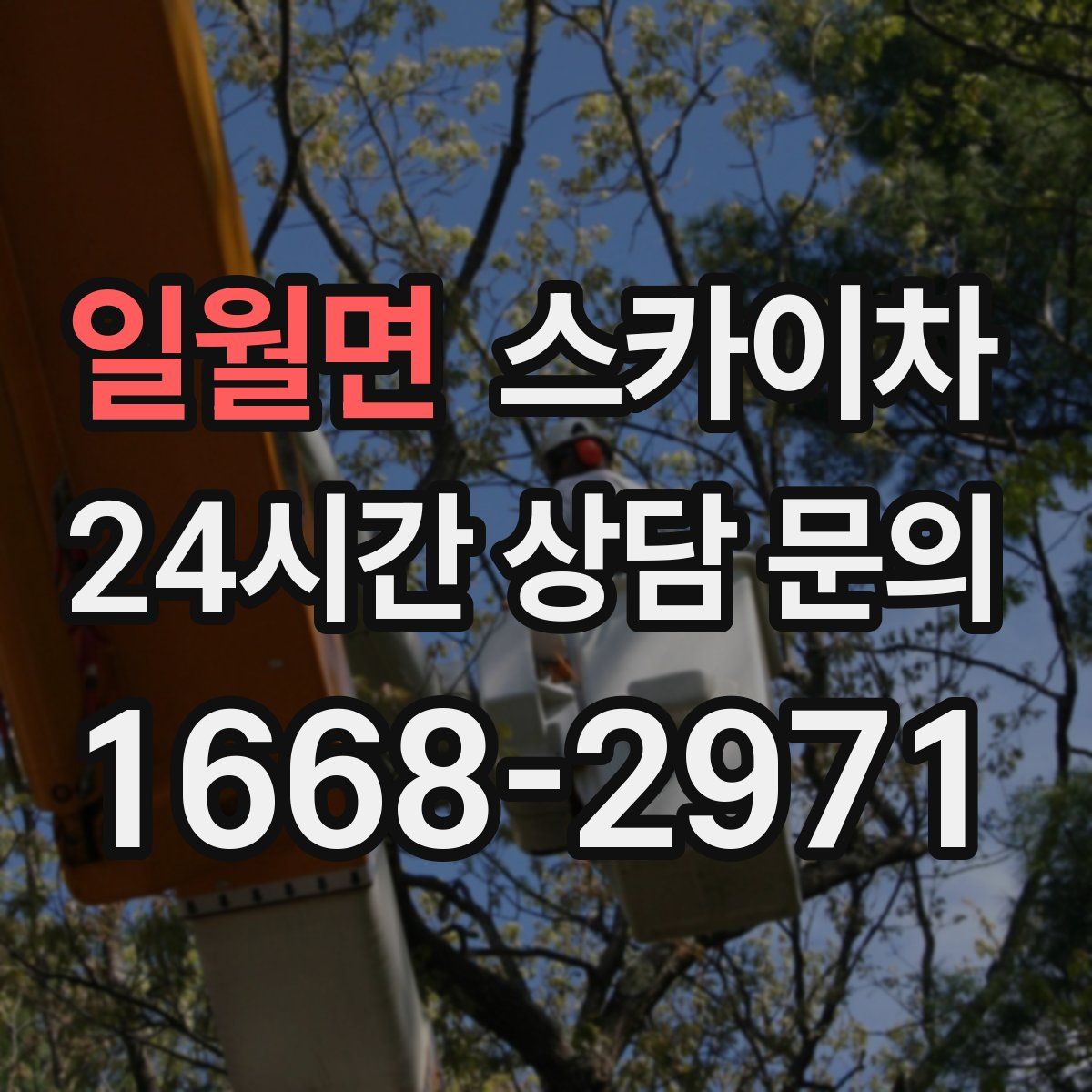 일월면 스카이차