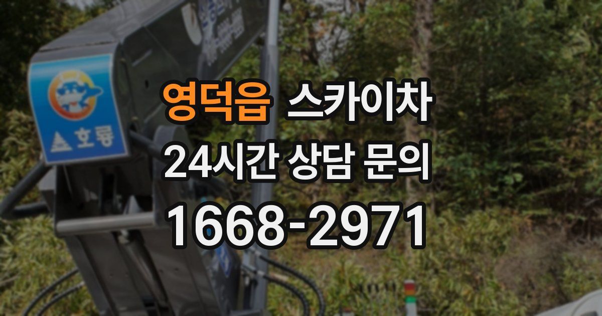 영덕읍 스카이차