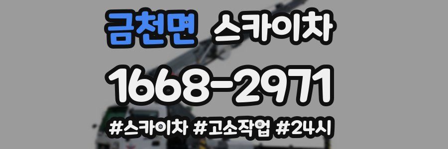 금천면 스카이차