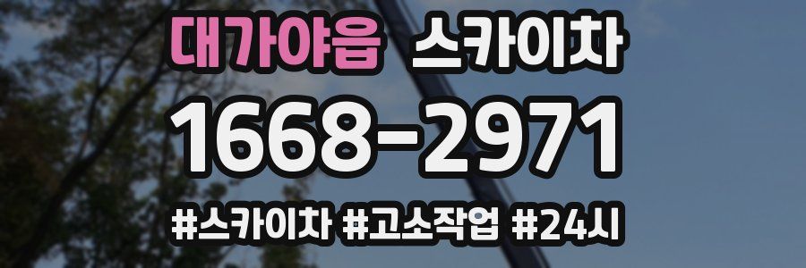 대가야읍 스카이차