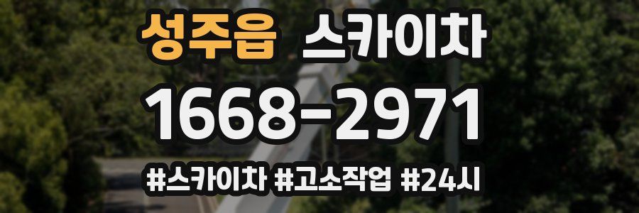 성주읍 스카이차