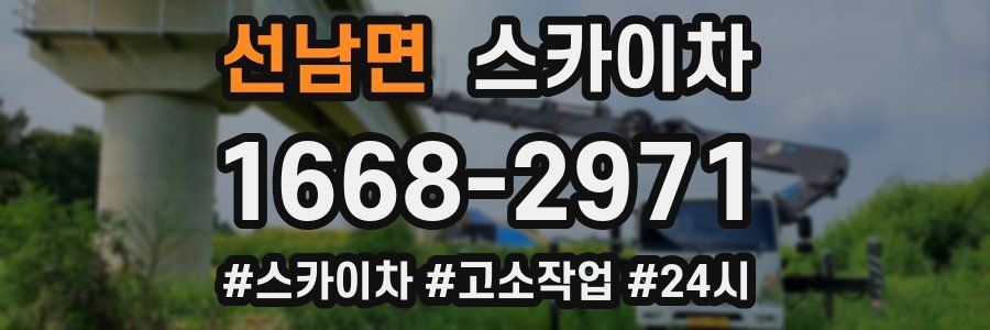 선남면 스카이차