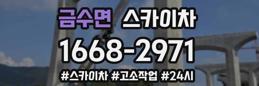 금수면 스카이차