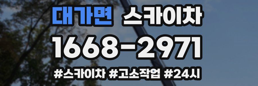 대가면 스카이차