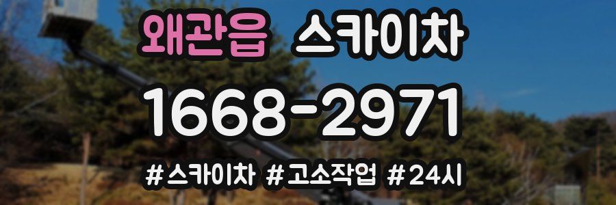 왜관읍 스카이차