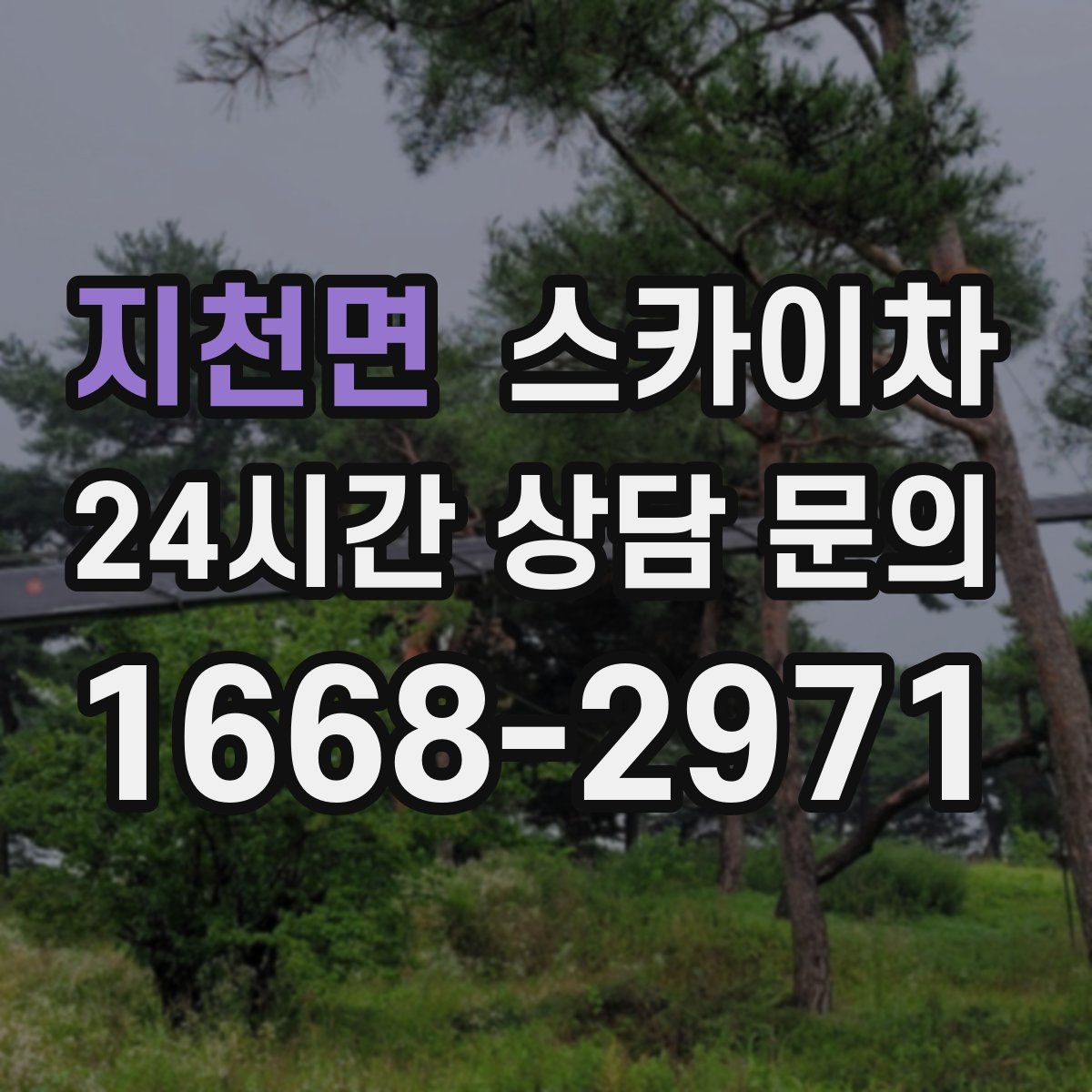 지천면 스카이차