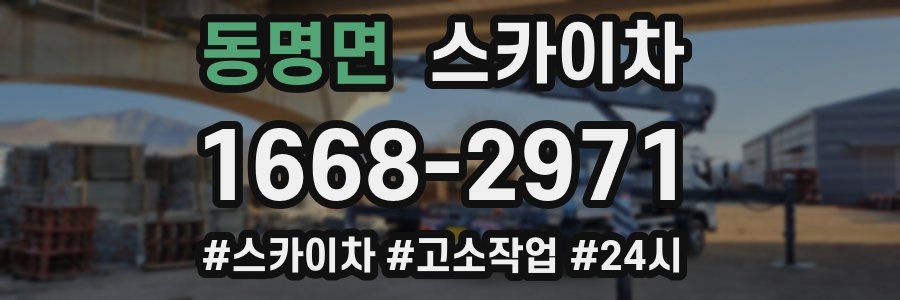 동명면 스카이차