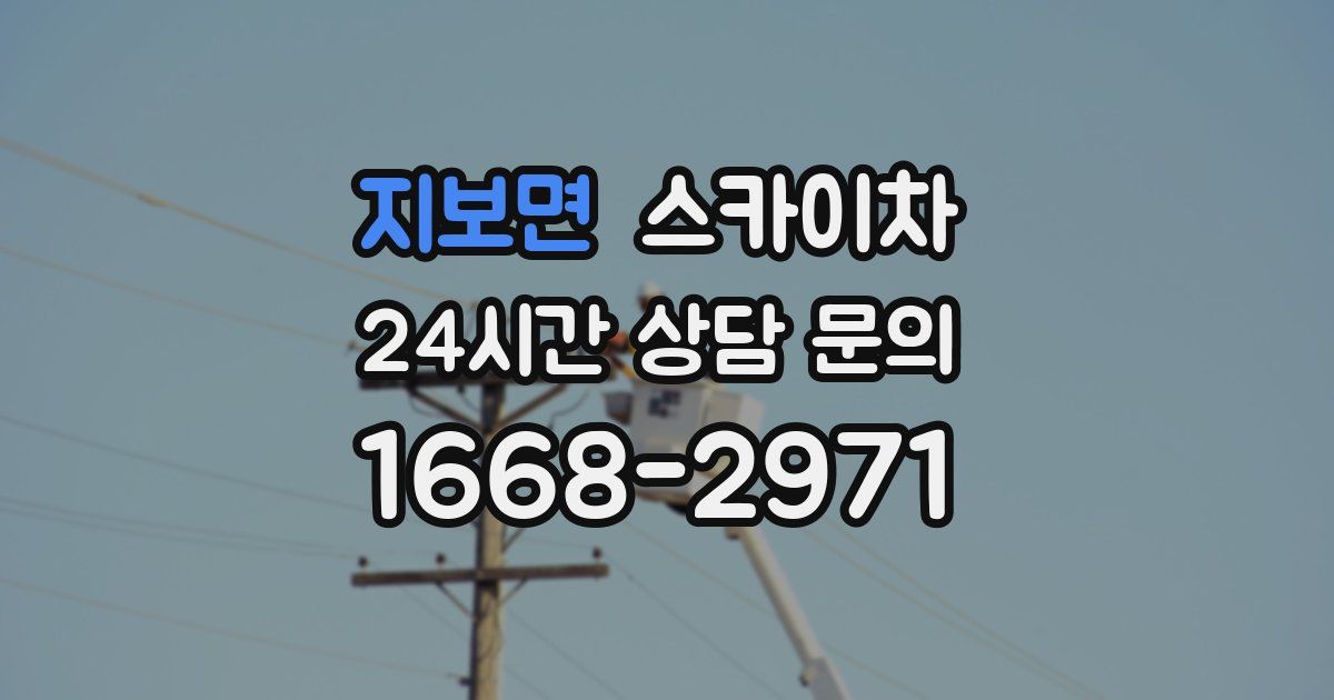 지보면 스카이차