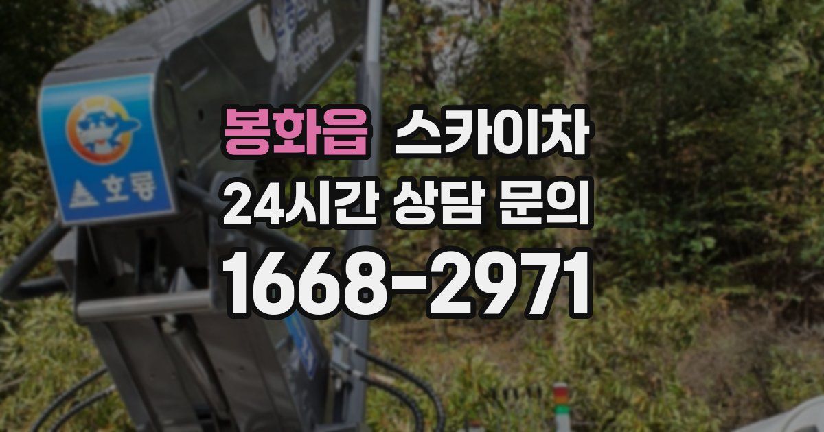 봉화읍 스카이차