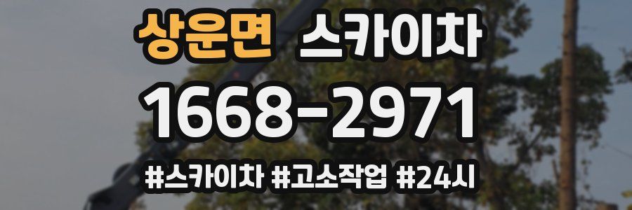 상운면 스카이차