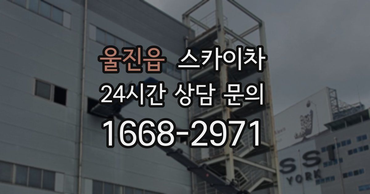 울진읍 스카이차