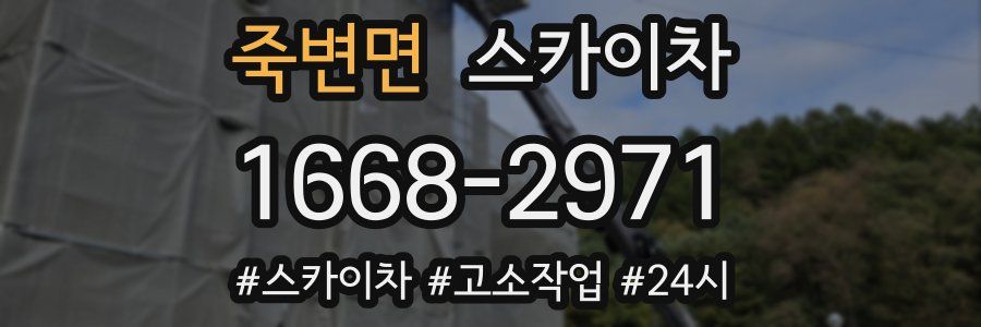 죽변면 스카이차