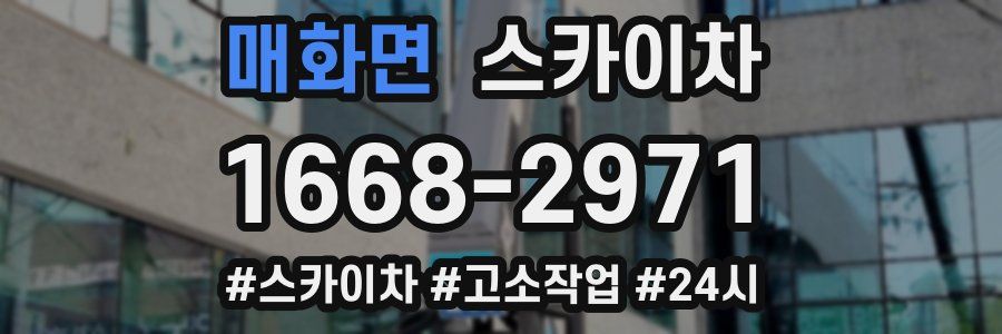 매화면 스카이차