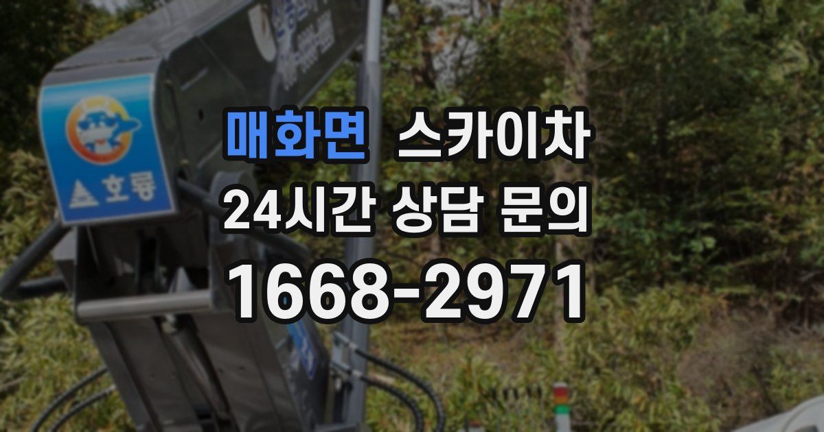 매화면 스카이차