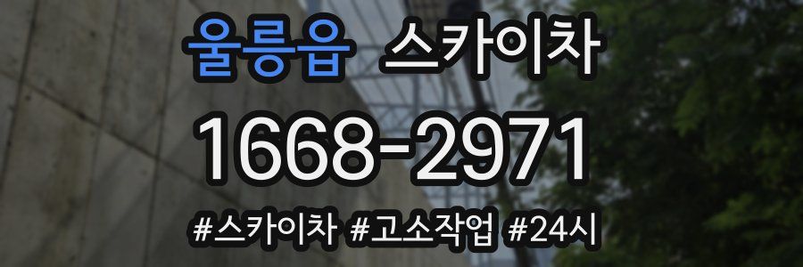 울릉읍 스카이차