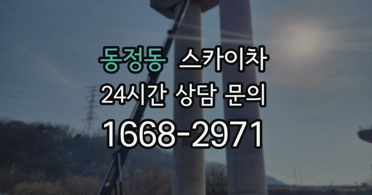 동정동 스카이차
