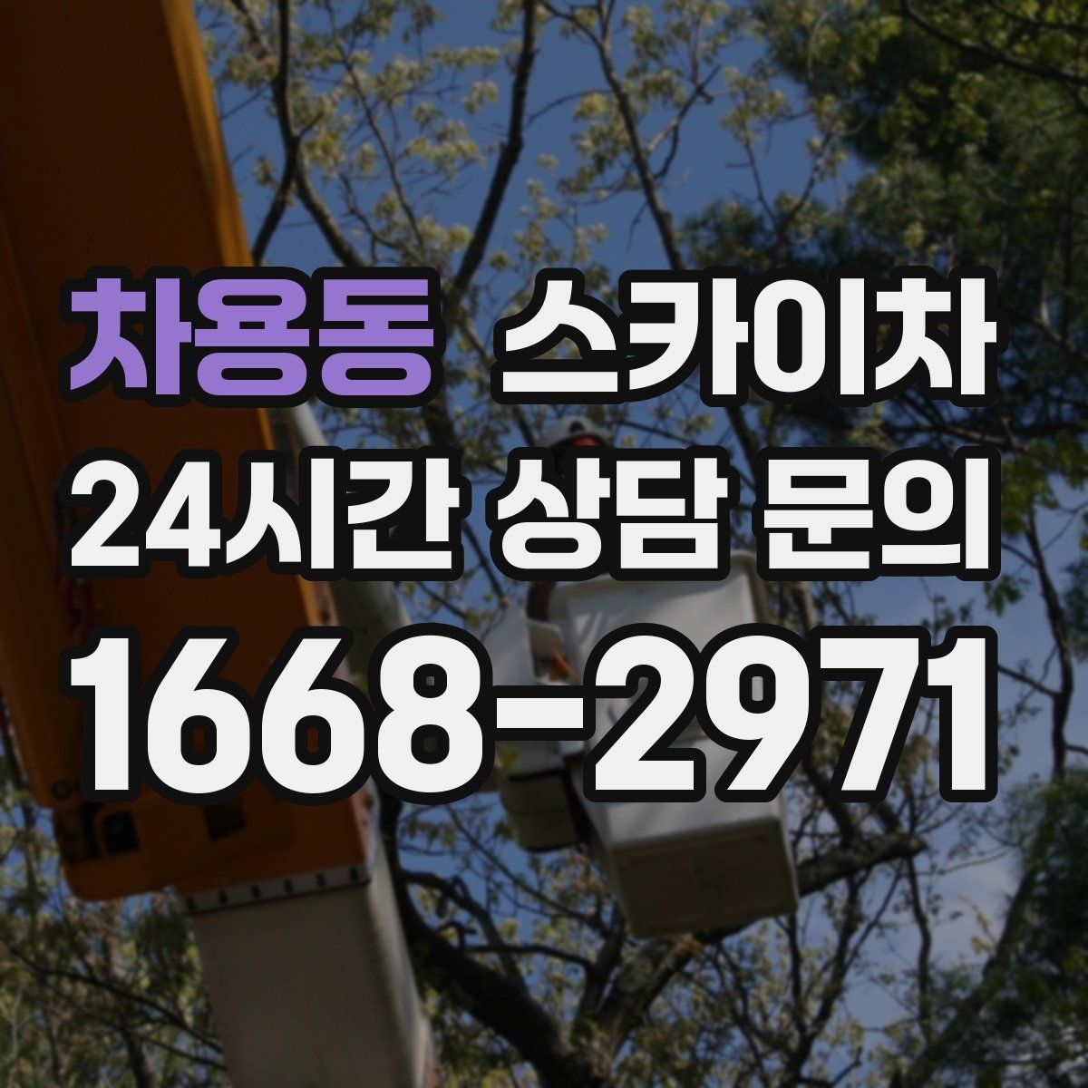 차용동 스카이차