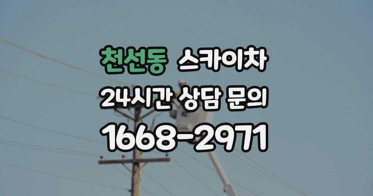 천선동 스카이차