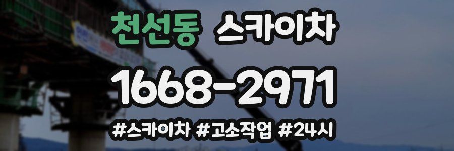 천선동 스카이차