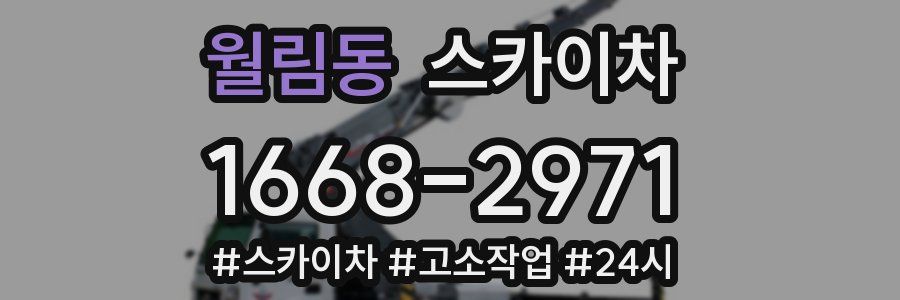 월림동 스카이차