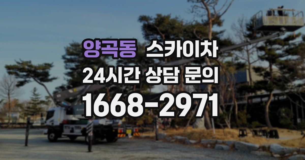양곡동 스카이차