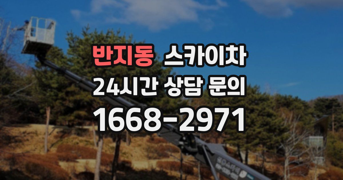 반지동 스카이차