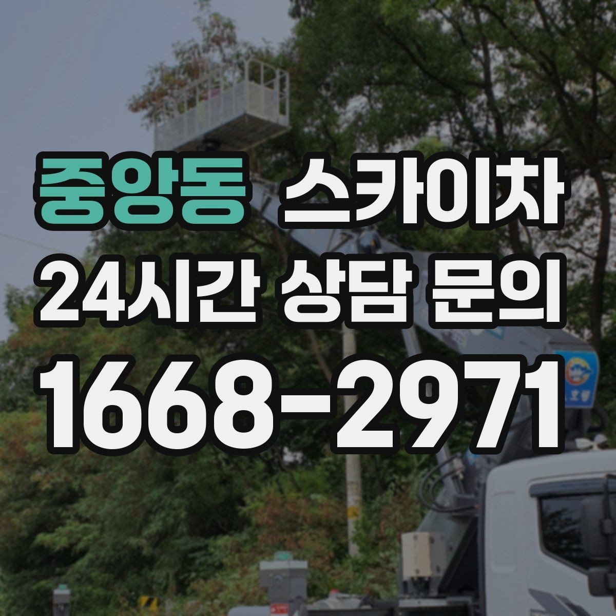 중앙동 스카이차 시즌 장식 철거 작업도 깔끔하게