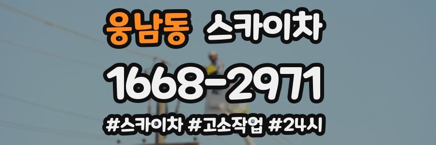 웅남동 스카이차