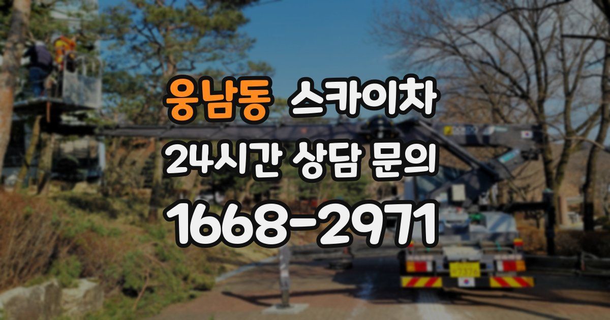 웅남동 스카이차