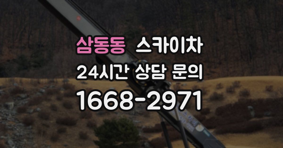 삼동동 스카이차