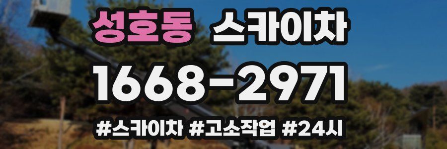 성호동 스카이차