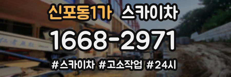 신포동1가 스카이차