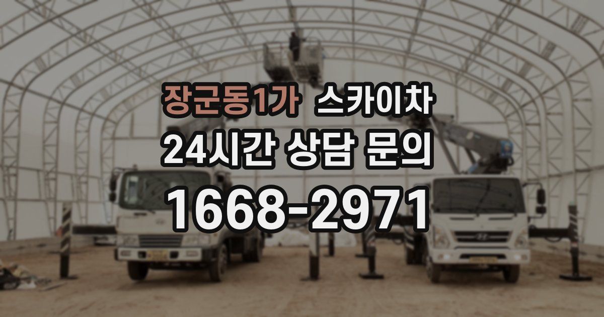 장군동1가 스카이차