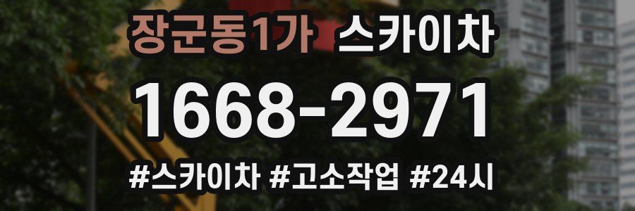 장군동1가 스카이차