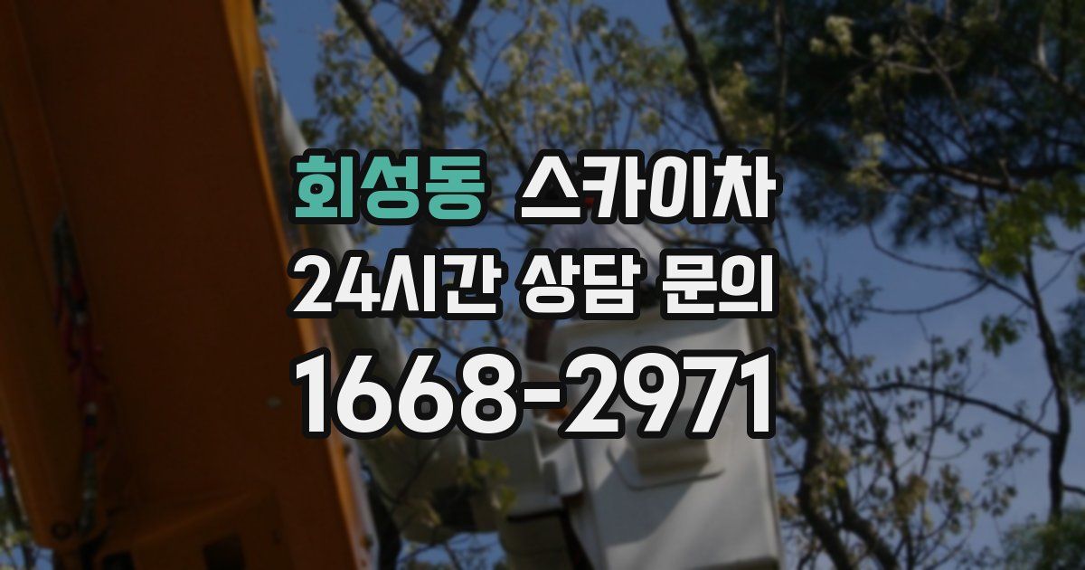 회성동 스카이차