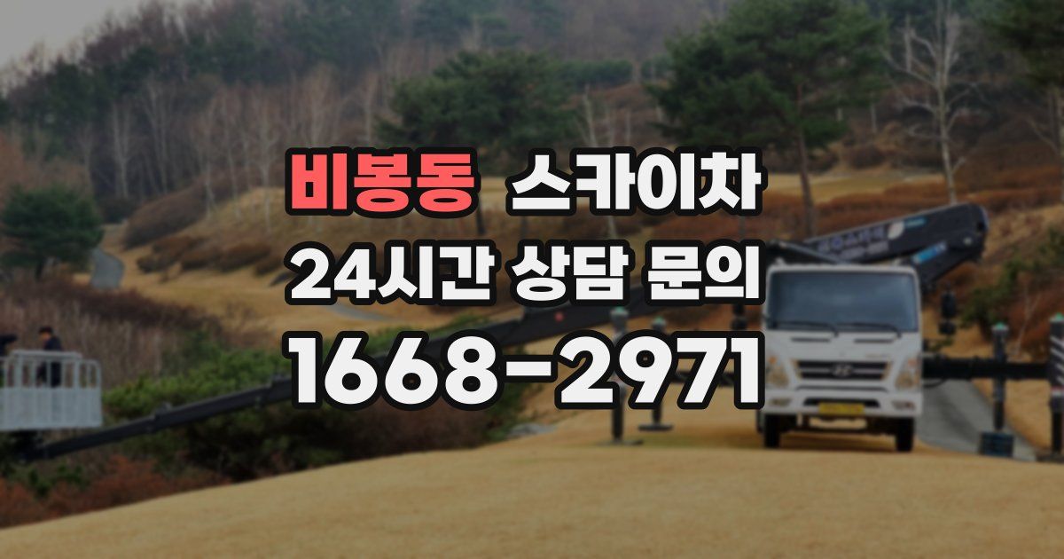 비봉동 스카이차